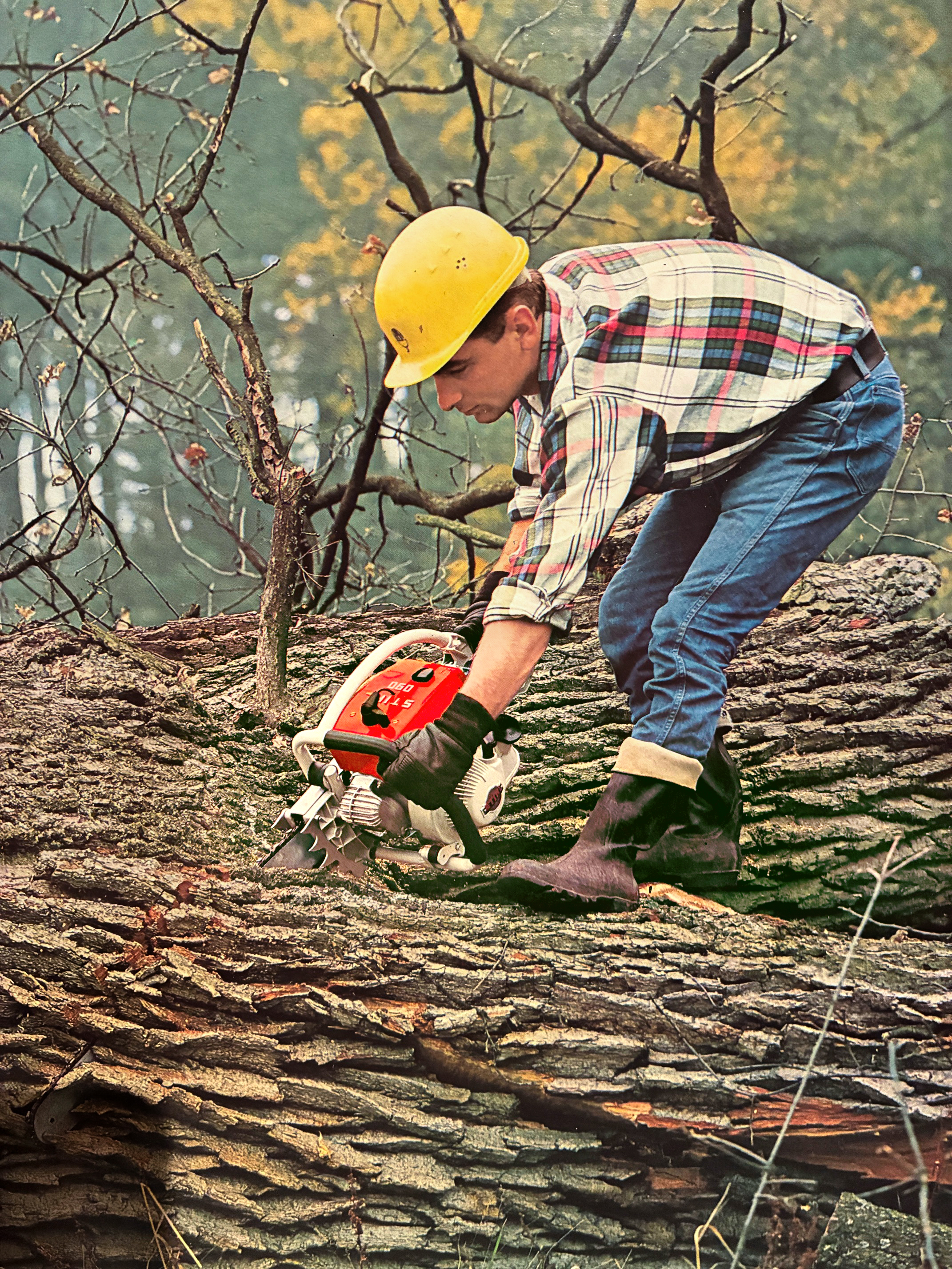 A man is standing on a large fallen tree trunk, using a chainsaw to cut it into pieces.